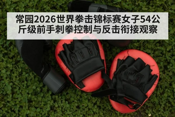 boxing training gloves punch pads